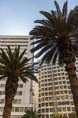 Modern high-rise buildings and office towers in the city center of Morocco against a clear blue sky.
