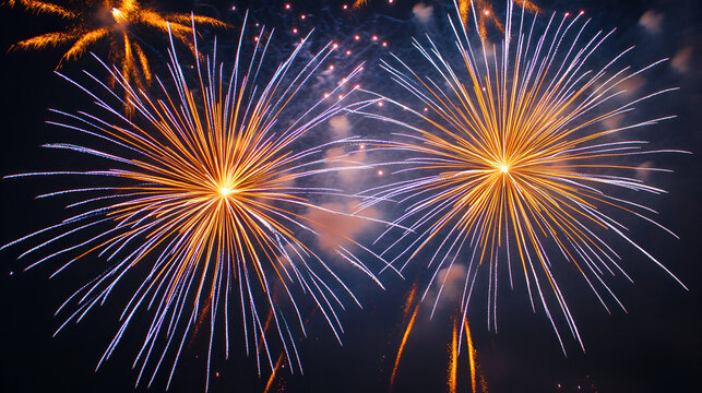 Spectacular fireworks display lighting up the night sky with vibrant colors and intricate patterns of light