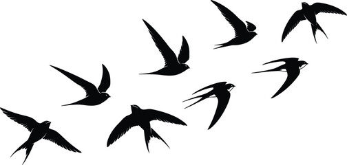 Swallow bird silhouette, flying bird vector, graceful wing motion, forked tail icon, nature flight design, minimal wildlife illustration