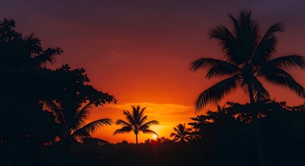 Dramatic sunset silhouette of palm trees with vibrant orange and red sky