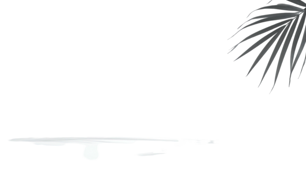 Simplified palm leaf silhouette and water drop, minimal black - Powered by Adobe