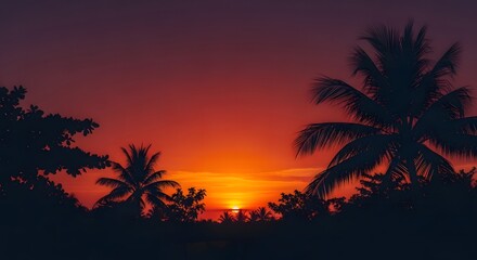 Silhouetted palm trees against vibrant sunset sky serene nature scene