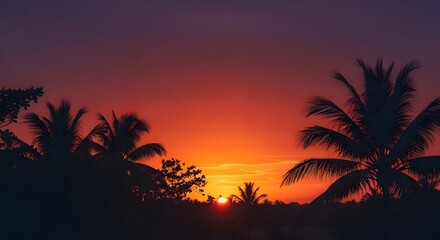 Vibrant sunset with silhouette palm trees against a colorful sky background