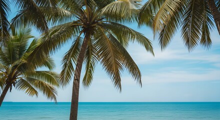 Obraz premium Palm trees on a tropical beach with turquoise water and blue sky on a sunny day in summer
