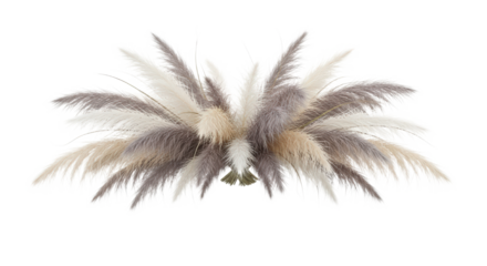 Pampas Grass Arrangement In Neutral Tones isolated on transparent background