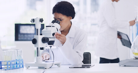 Microscope, research and sample with woman in lab for chemical study, medical and molecule....