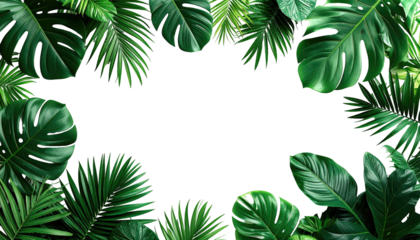 Lush tropical greenery frames stark black emptiness