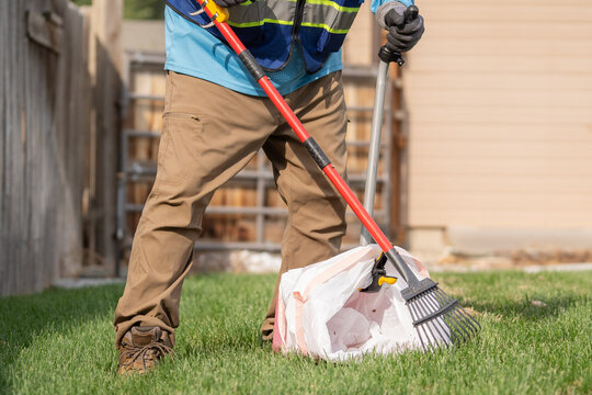 Scooper pooper in the grass