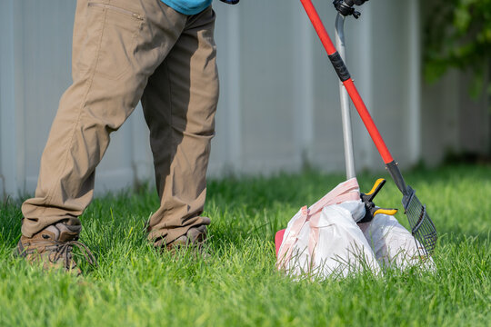 Pooper scooper scooping in grass