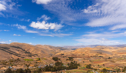 Fototapeta premium sunny and dry days seeing the yellow pampas