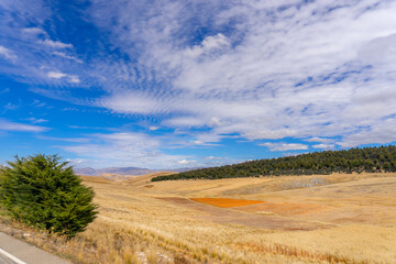 Fototapeta premium yellow, green and blue are the colors that predominate in autumn