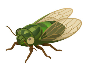 Cartoon Green Beetle with Veined Wings