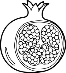 Outline of a Cut Pomegranate with Arils - Vector Illustration