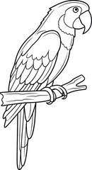 Cartoon Parrot Line Art on Branch
