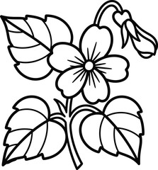 Bold line art violet flower with five heart-shaped petals, closed bud, and large veined leaves in a black and white botanical illustration.