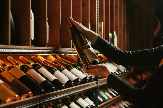 Sommelier Selecting Wine Bottle in Cellar