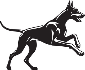 Dobermann Dog Vector 
