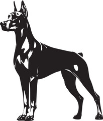 Dobermann Dog Vector 
