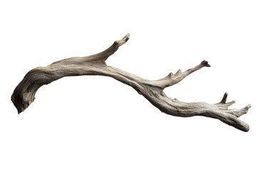 Fototapeta premium Weathered wood branch isolated on a transparent background