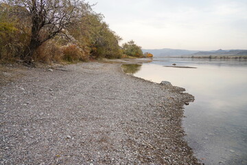 Different vegetation on the banks of the Ili River. National Nature Park.