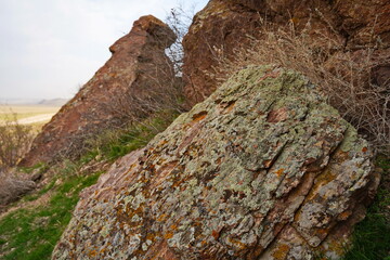 Mountainous terrain and various vegetation on the banks of the Ili River. National Nature Park.