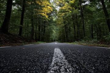 Fototapeta premium Serene empty road winding through a lush green forest under soft daylight with a hint of autumn colors