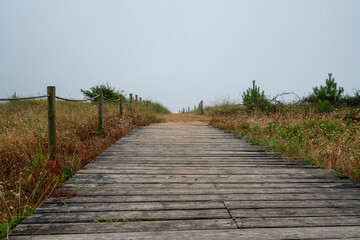 Fototapeta premium A wooden bridge with a brown fence on the side. The fence is made of wood and is located on the side of the bridge. The bridge is also made of wood and is long, stretching across a field