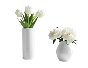 Set of decorative vases with white flowers isolated on transparent background