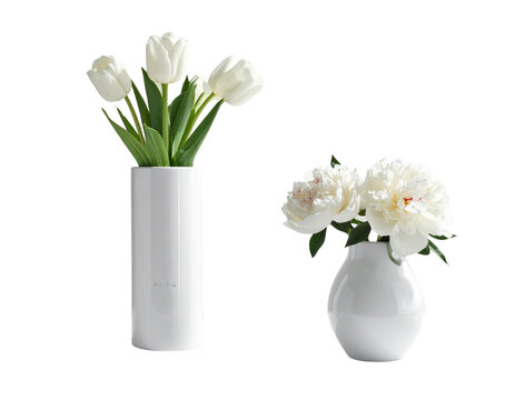 Fototapeta Set of decorative vases with white flowers isolated on transparent background