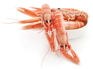 Red lobster