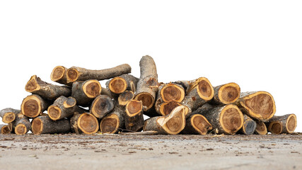 Close-up low-angle view of large logs that have been cut down and piled on a concrete floor, commonly seen in rural Thailand.