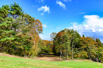 秋　泉ヶ岳山麓
