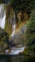Fototapeta premium Moss-draped cascades whisper secrets of pristine realms, embracing Earth Days verdant renewal, enchanting emerald tranquility unfolds
