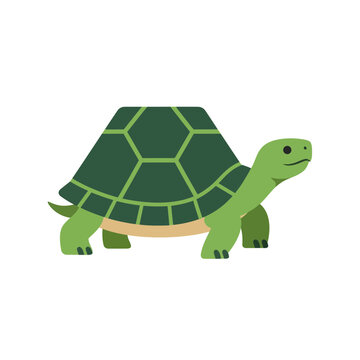 Illustration of a green turtle with a patterned shell.