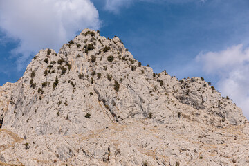 Limestone mountain with white juniper trees. Juniperus thurifera. Anciles Valley, Cantabrian Mountains, Riaño, León.