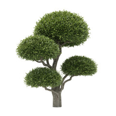 A sculpted topiary tree with four perfectly rounded green shrub balls on transparent background