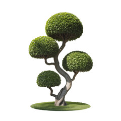 A highly manicured topiary tree with four perfectly spherical green bushes on transparent background