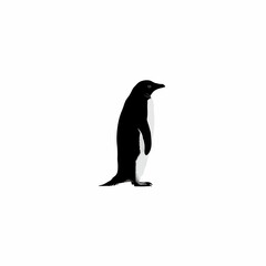 Elegant adelie penguin illustration against a clean white background, minimalist design