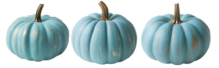Blue Jarrahdale pumpkin with a green stem isolated on a white background, great for autumn themes and decorations