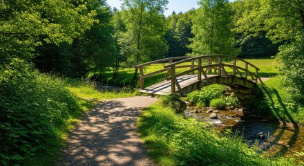 Wooden bridge over a creek in the lush green forest during the daytime
