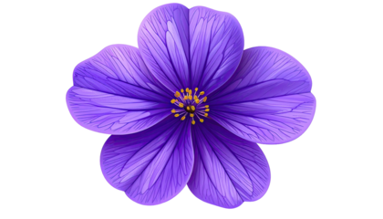 Isolated purple five-petal flower with yellow stamen details