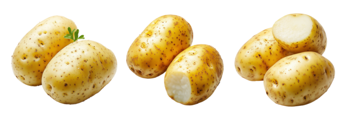Potato with skin imperfections, isolated on white transparent background, concept of natural produce.