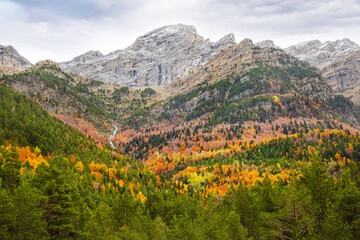 Paisaje montañoso otoñal en el Valle de Bujaruelo. Pirineos Oscenses (Huesca, España)