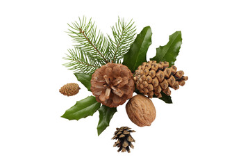 Pinecones and leaves for festive cheer, on white, PNG