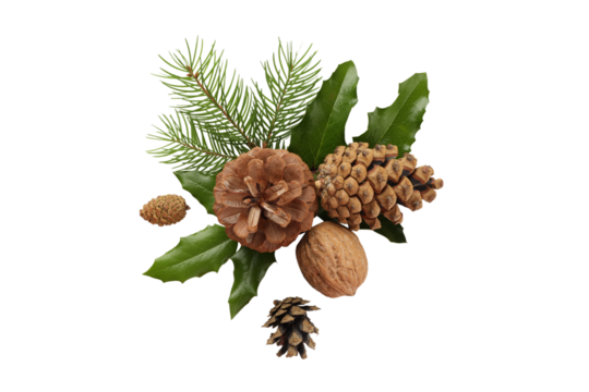 Pinecones and leaves for festive cheer, on white, PNG