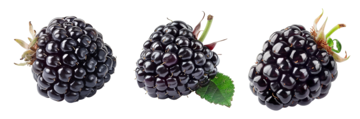 Beautifully arranged blackberries in sharp focus showcase intricate textures color variations