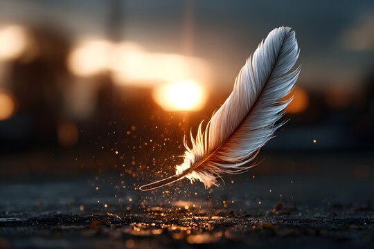 Leichte Feder im Abendlicht schwebend &uuml;ber dem Boden 

