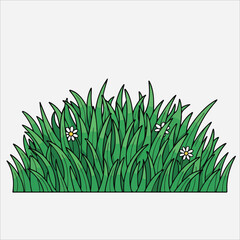 Illustration of a cluster of green grass with two small white flowers against a plain white background.