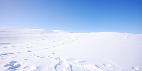 A pristine blanket of untouched snow covers a gently sloping hill under a clear winter sky,  untouched,  frozen