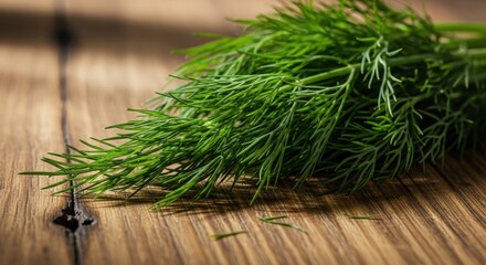 Close up of fresh green dill herb on wooden table